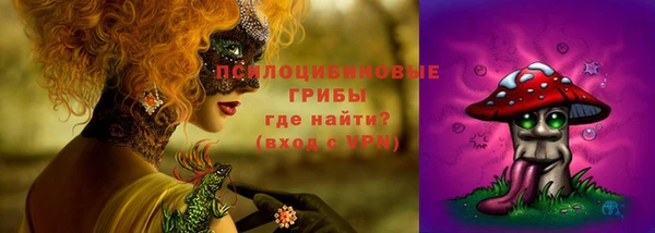 бошки Нягань