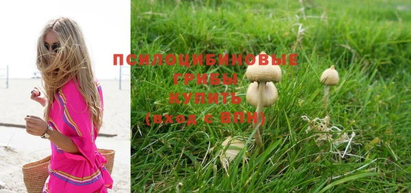 дмт Няндома