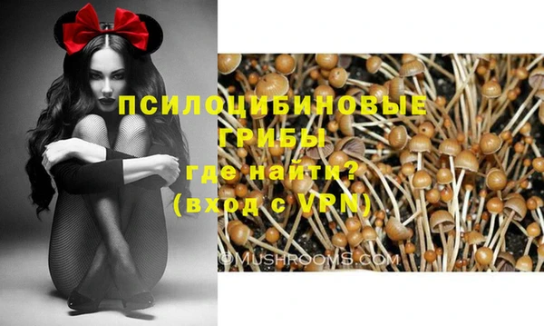 бошки Нягань
