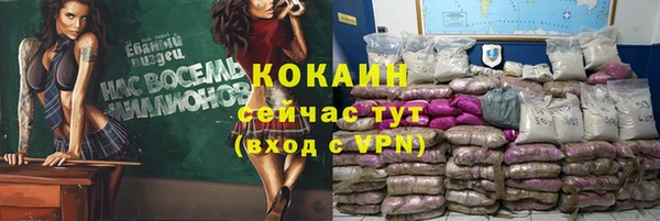 дмт Няндома